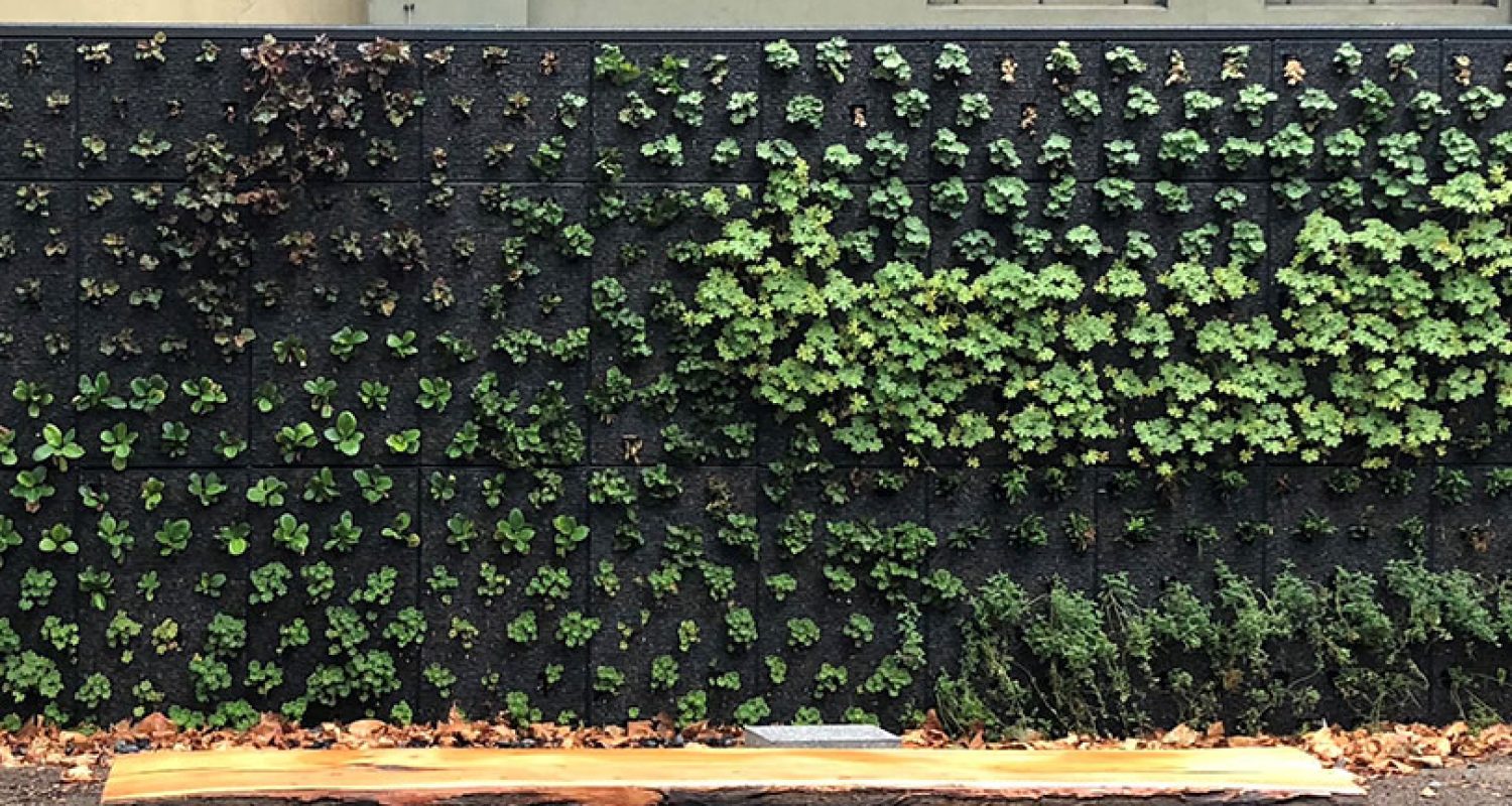 Living Wall